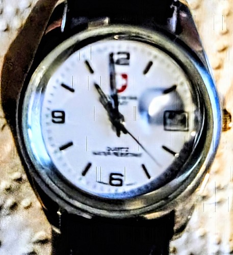 Orologio esercito svizzero - orologio,